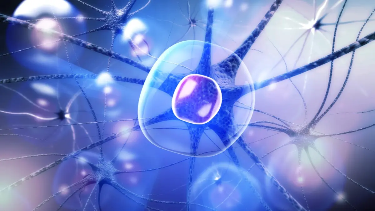 clinical quantum